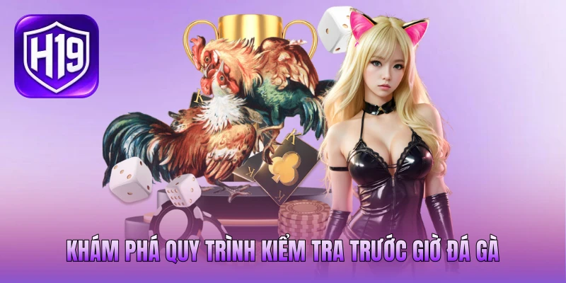 Khám phá quy trình kiểm tra trước giờ đá gà Khám phá quy trình kiểm tra trước giờ đá gà