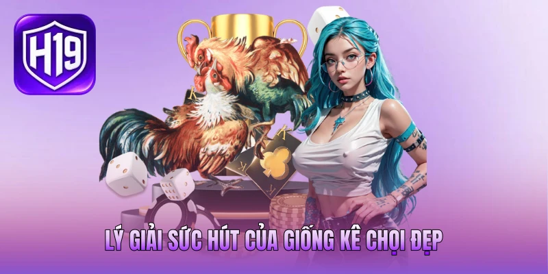 Lý giải sức hút của giống kê chọi đẹp