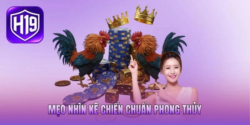 Mẹo nhìn kê chiến chuẩn phong thủy