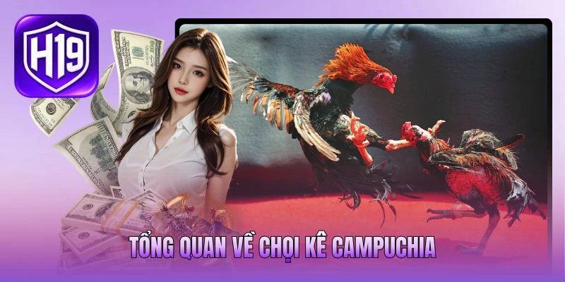 Tổng quan về chọi kê Campuchia