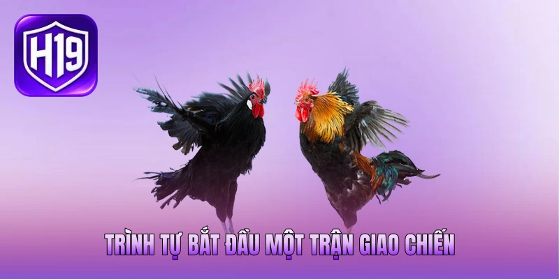 Trình tự bắt đầu một trận giao chiến